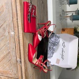 Red Pumps and matching clutch